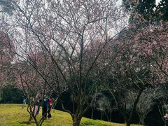 -广州市白云山风景名胜区