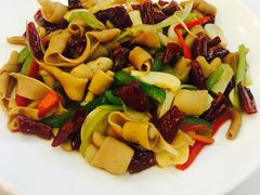 -九花山烤鸭店