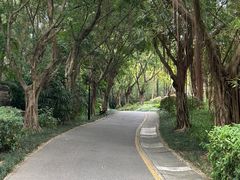 -深圳国际园林花卉博览园