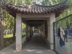 -莲花池公园