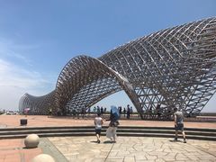 -南汇嘴观海公园