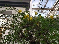 -燕郊植物园