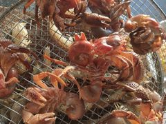 -海味当家·蒸锅海鲜(星海公园店)
