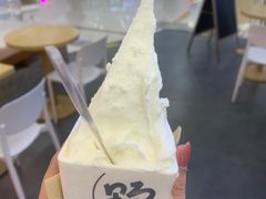 -野人先生Gelato(上海长宁龙之梦店)