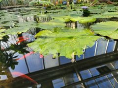 -北京植物园-展览温室