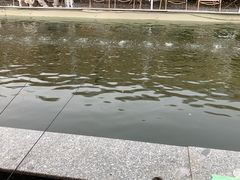 -DGE季风钓虾营地·团建·聚会