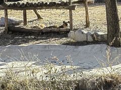 -济南野生动物世界