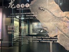 -贵州省地质博物馆