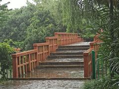 -黄兴公园