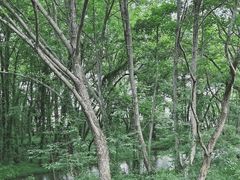 -西溪南古村落景区