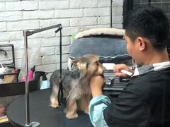 -Goku PET SHOP宠物视觉生活馆(双井店)