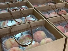 -南汇水蜜桃采摘(大团店)