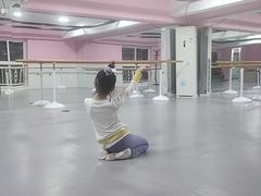 -蒲公英舞蹈艺术中心(解放路校区)