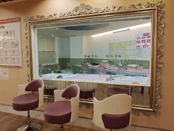 -生命加•Q考拉月子会所(玫瑰园店)