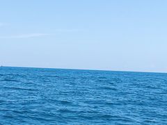 -东姑阿都拉曼海洋公园