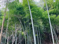 -杭州黄龙洞