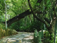 -人民公园(罗湖区)