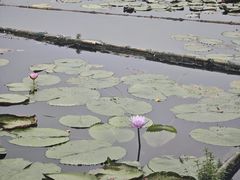 -西湖天地