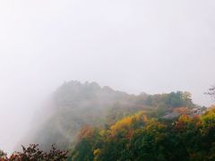 -少华山国家森林公园