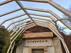 -深圳仙湖植物园