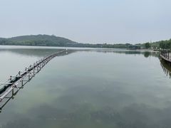 -上海月湖雕塑公园