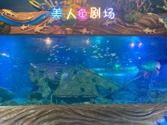 -太奥幻太奇海洋馆