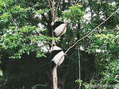 -西安秦岭野生动物园