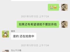 -喵百万·布偶·蓝金金渐层英短·猫舍(百子湾店)
