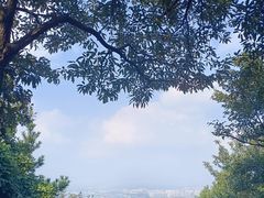 -惠山国家森林公园