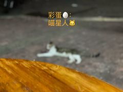 -香辉食馆(新兴路店)