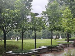 -重庆彩云湖湿地公园