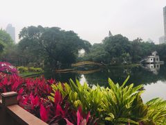 -晓港公园