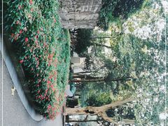 -浙江大学(玉泉校区)
