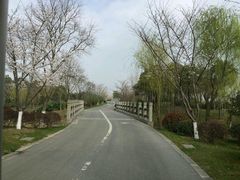 -尚贤河湿地