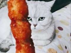 -张记炸串肠粉
