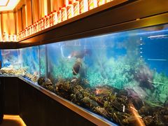 -人杰鱼乐轩(珠江路店)