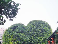 -烟台山景区