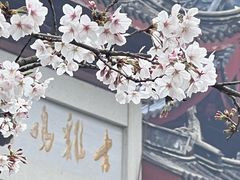 -鸡鸣寺