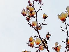 -北京化工大学(东校区)
