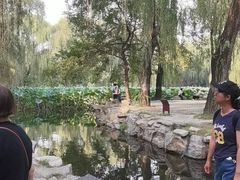-圆明园停车场