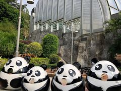 -石排湾郊野公园