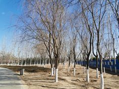 -永定河休闲森林公园