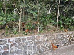 -牙胡梯田