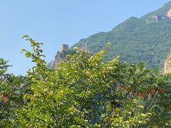 -云岫谷游猎自然风景区