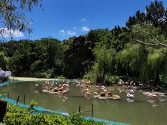 -宁波野生动物园
