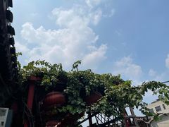-陈记卤煮小肠