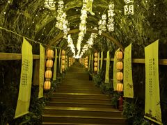 -秦岭天竺山生态文化旅游景区