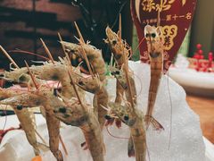 -尚海豆捞(乐虹坊店)