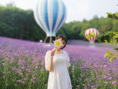 -大塘金香草谷