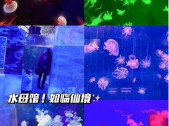 -海合安成都极地海洋公园